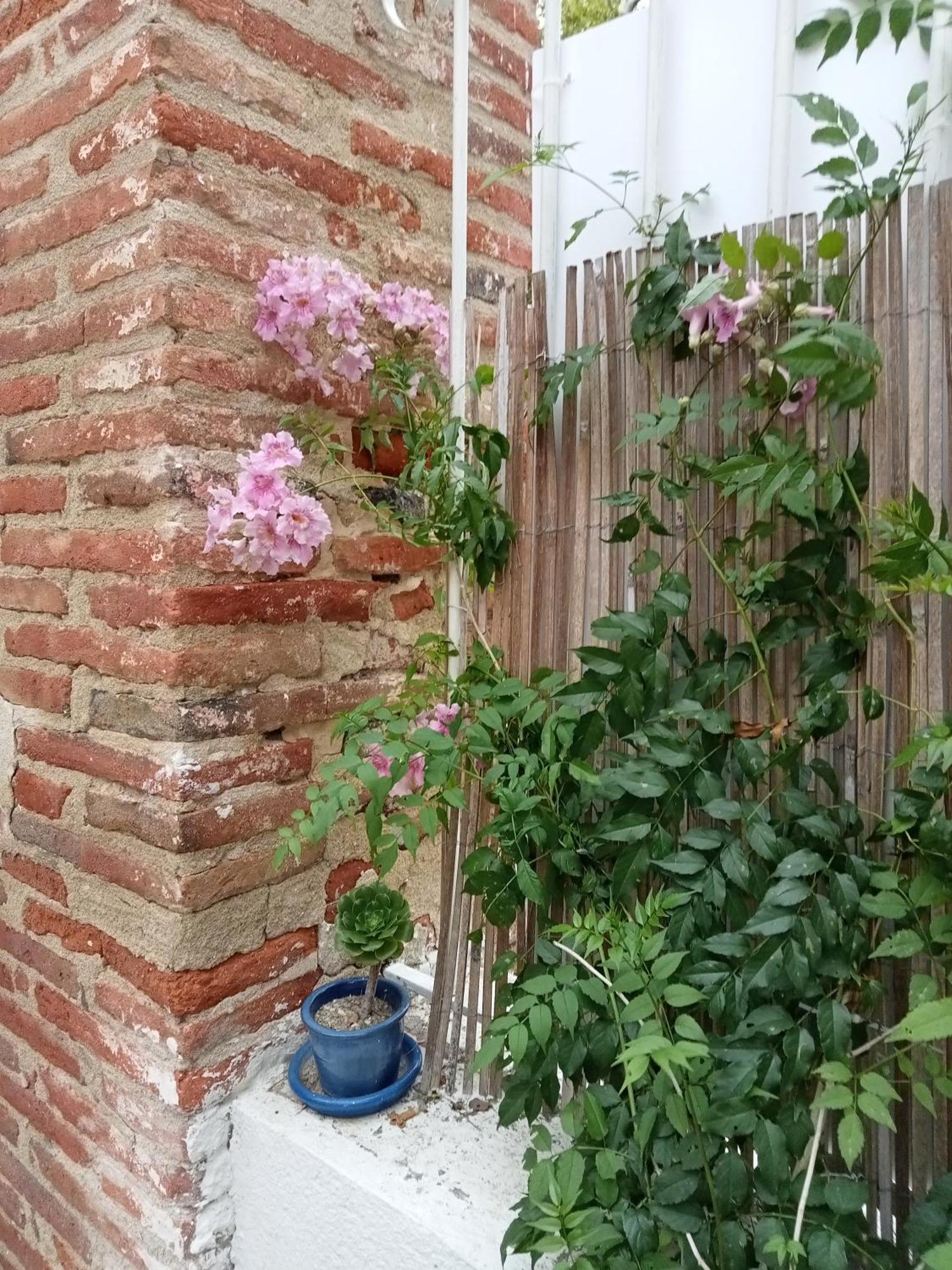 Mas Palegry côté jardin Perpignan Exterior foto